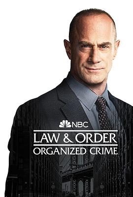 法律与秩序：组织犯罪第三季/法律与秩序：有组织犯罪