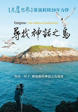 寻找神话之鸟/Enigma: The Chinese Crested Tern